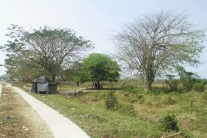 XIAZSGN2JVEPNHJMR5VKPRGLXE