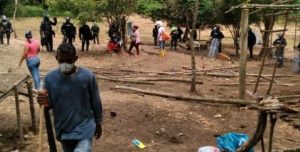 FB_IMG_1656958373306~2