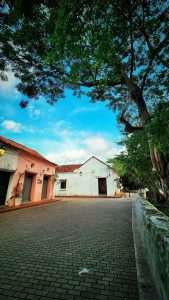 WhatsApp Image 2024-01-29 at 1.47.17 PM