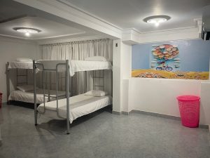 75e70c17-fabe-49ab-b220-32a58f4440c5