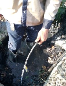 WhatsApp Image 2024-05-07 at 4.21.05 PM