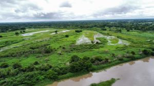 12-familias-campesinas-de-Bolivar-cultivan-en-un-playon-comunal-jun2024-1024x576