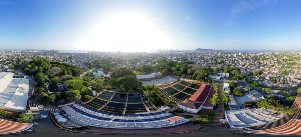 WhatsApp Image 2024-06-26 at 6.29.29 PM