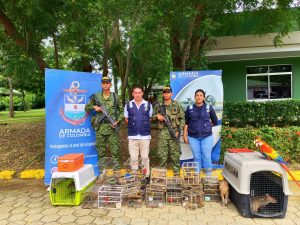 ARC. FOTO. RECUPERADAS 67 ESPECIES DE FAUNA SILVESTRE EN ESTADO DE TENENCIA ILEGAL (3)
