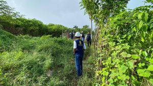 WhatsApp Image 2024-10-27 at 9.54.42 AM