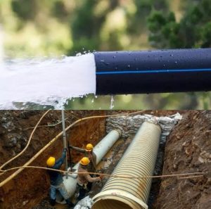 Screenshot_20241227-212257_Picsart