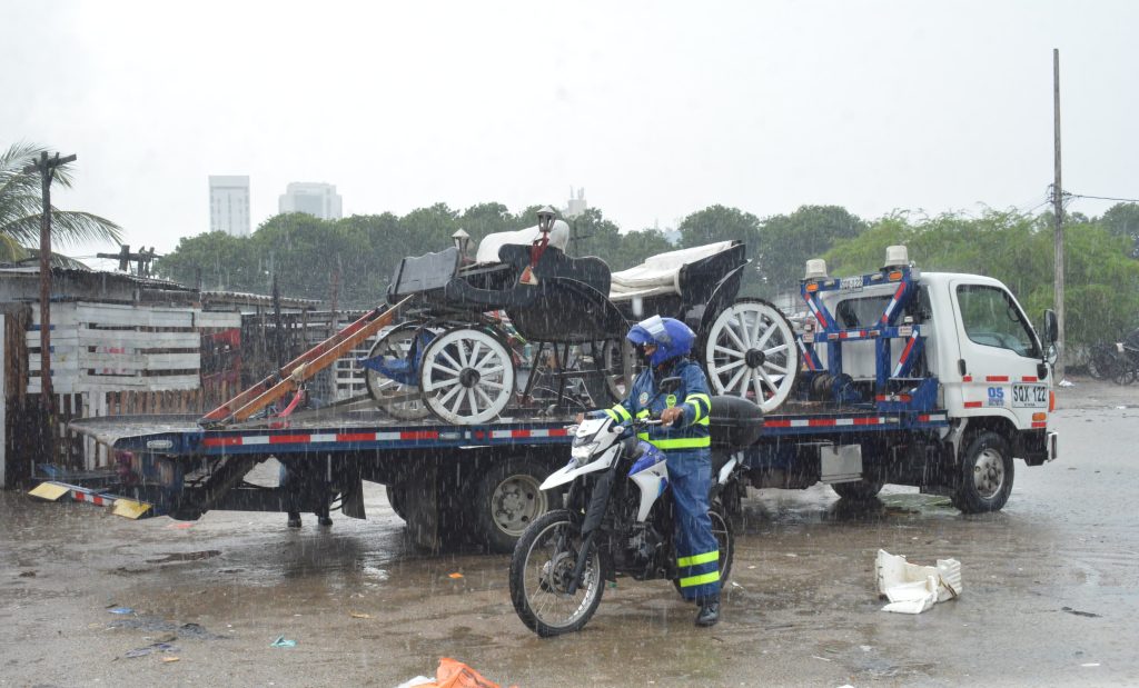 WhatsApp Image 2024-12-02 at 4.40.14 PM