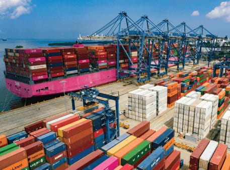 WhatsApp Image 2025-01-14 at 10.56.10 PM