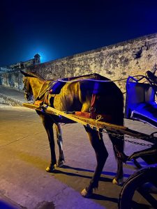 WhatsApp Image 2024-02-12 at 9.00.29 AM