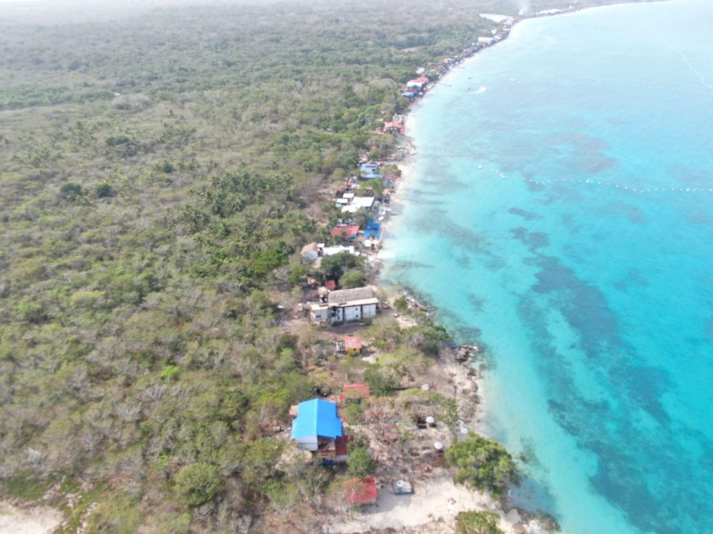 WhatsApp Image 2025-02-13 at 1.32.53 PM