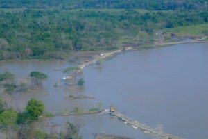 Cara-e-Gato-e1645152823969-768x512-1