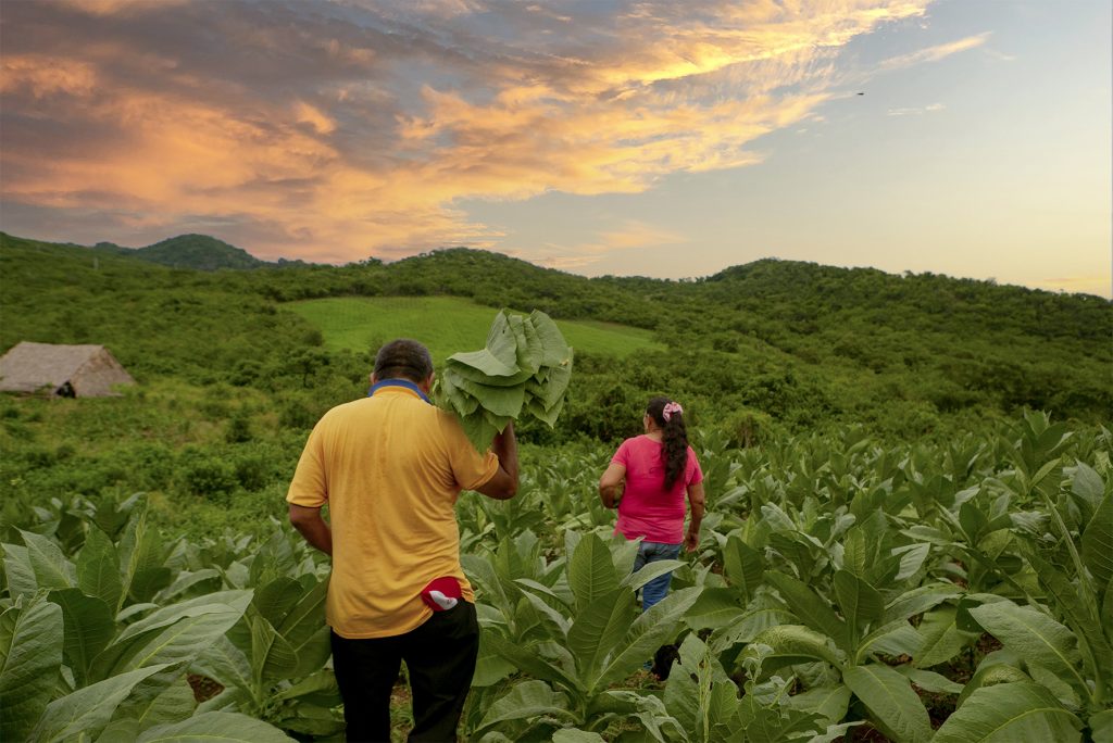 El Salado_ElCarmenDeBolivar_Bolivar