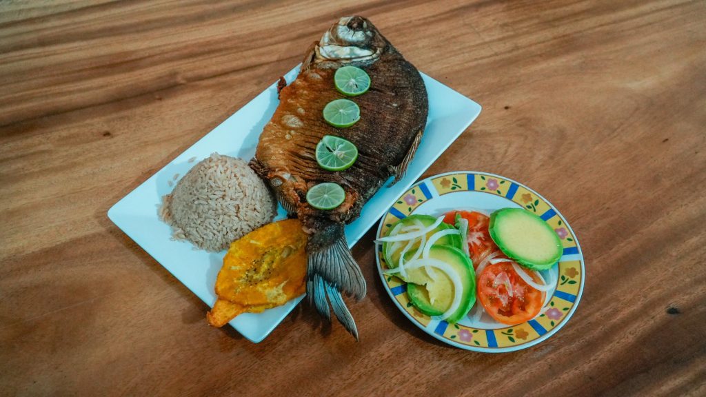 WhatsApp Image 2025-03-08 at 11.03.29 AM