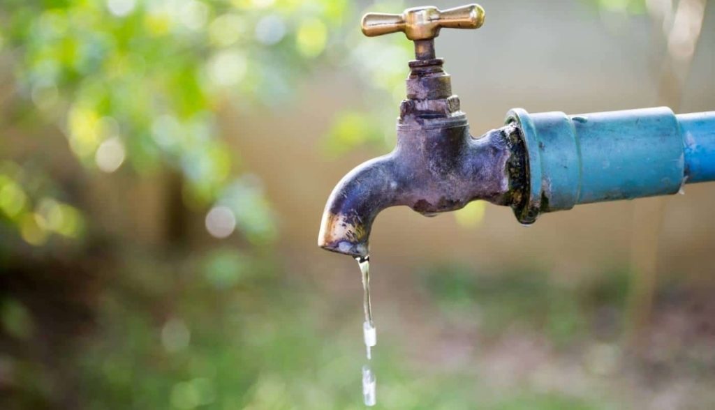 Screenshot_20250401-162918_Photos