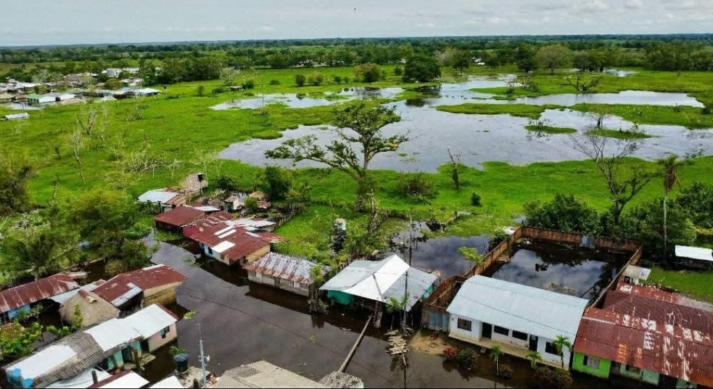 WhatsApp Image 2025-04-23 at 11.46.46 PM