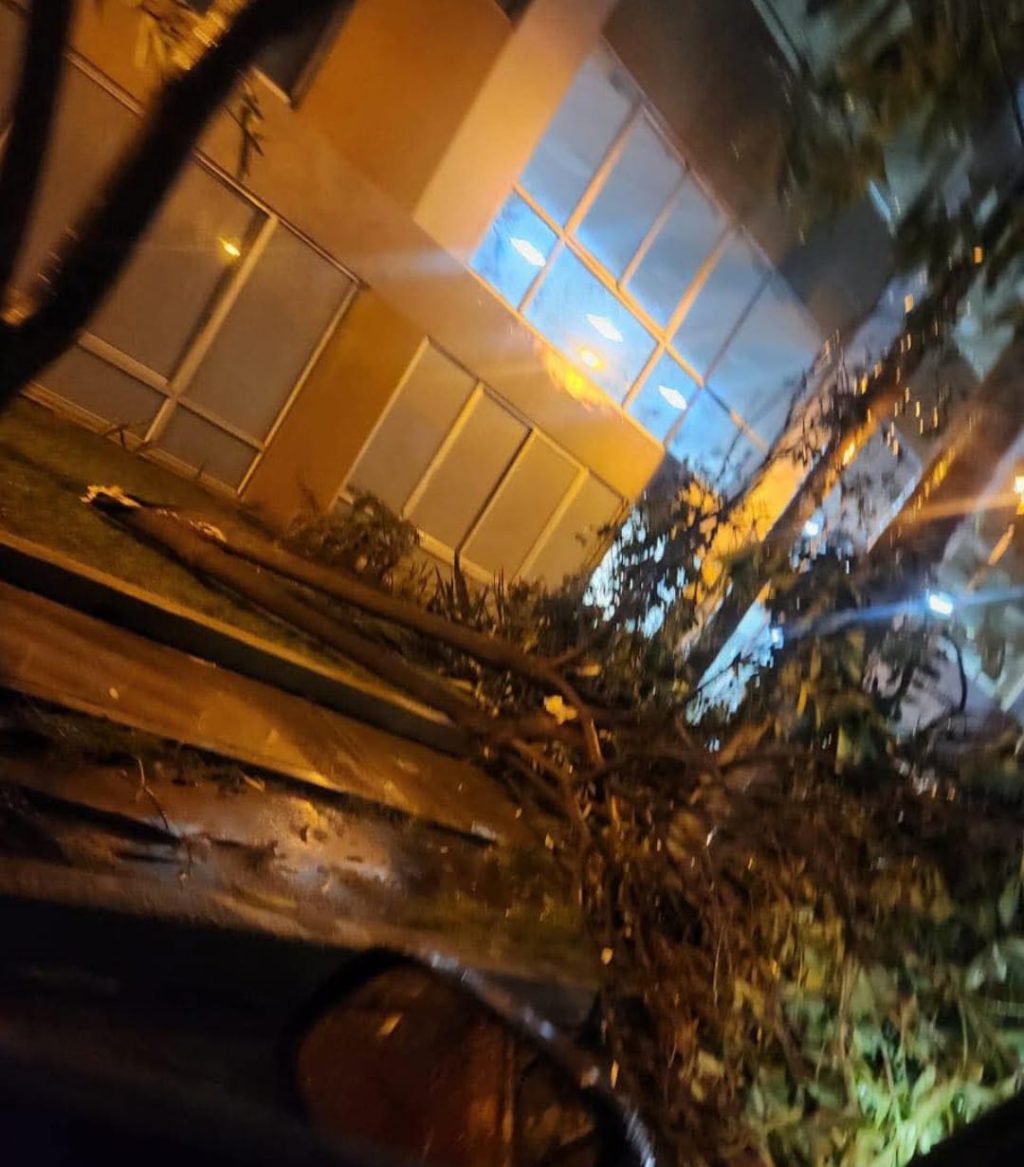 WhatsApp Image 2025-06-25 at 5.43.33 AM