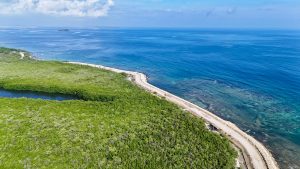 WhatsApp Image 2025-06-26 at 10.26.30 AM